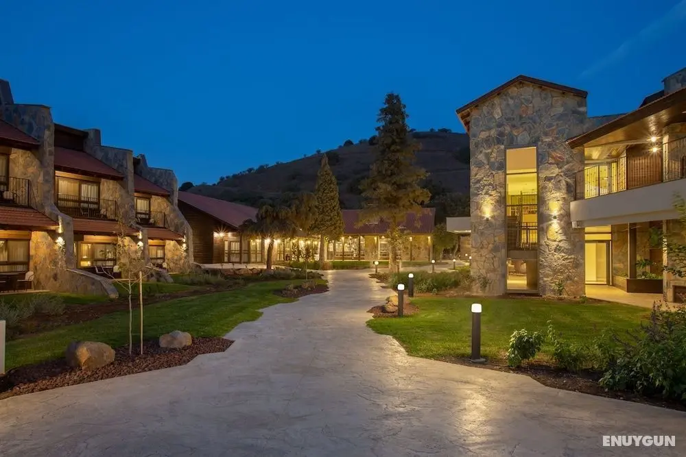 Merom Golan Resort - Öne Çıkan Resim