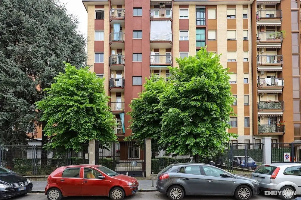 Merula Dream House - Öne Çıkan Resim