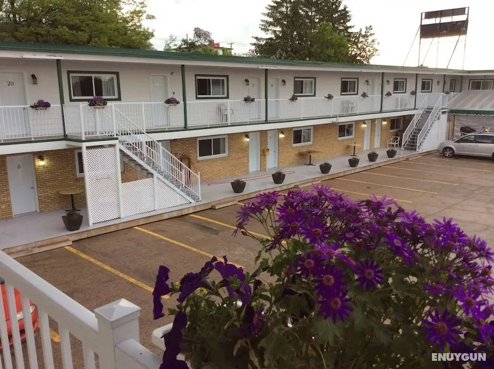 Miami Motel - Öne Çıkan Resim