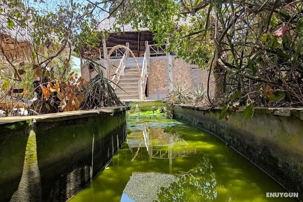 Mida Creek Eco Camp - Öne Çıkan Resim