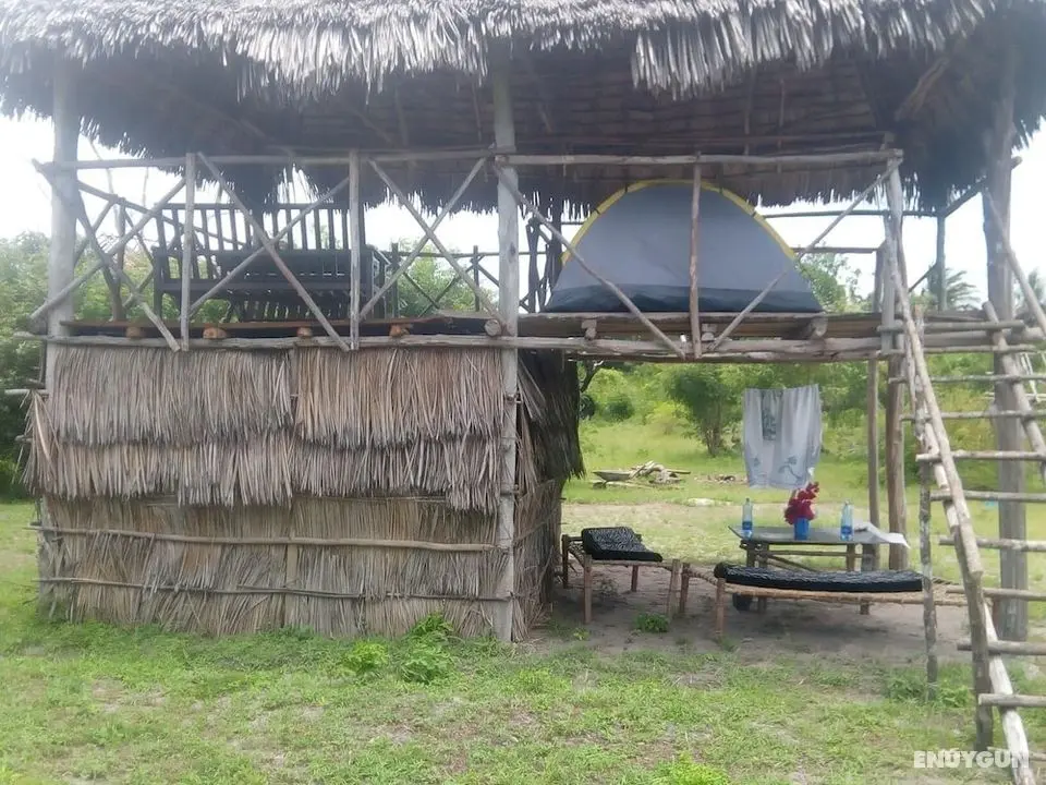 Mida Creek Nature Camp - Öne Çıkan Resim