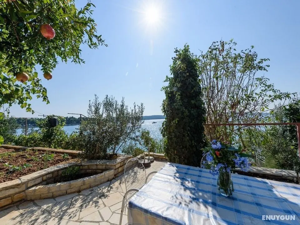 Mihaela - sea View - SA3 - Öne Çıkan Resim