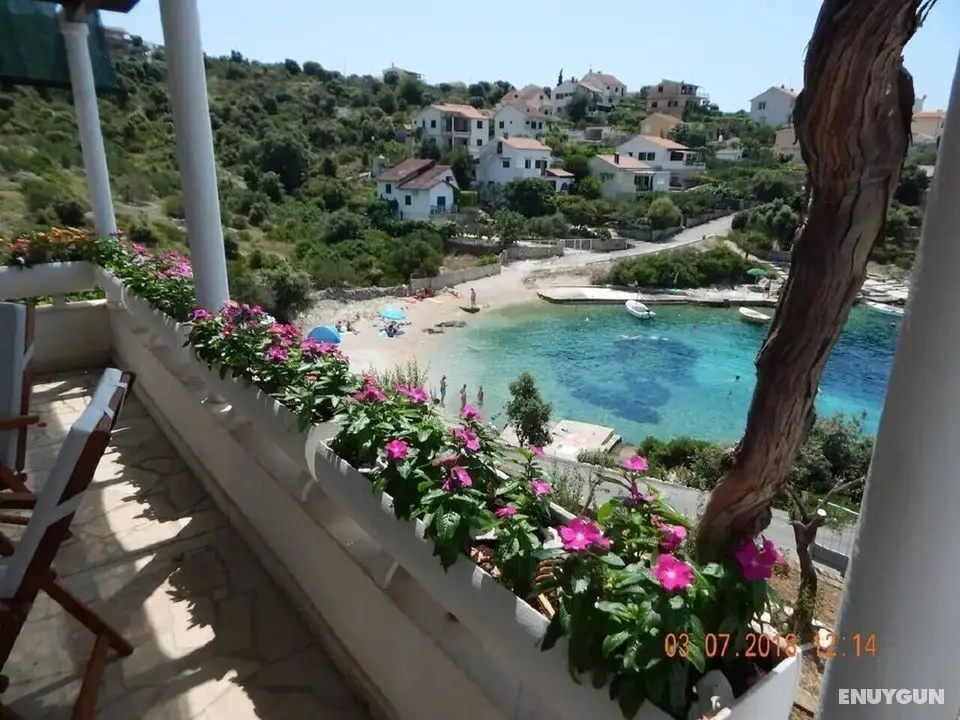 Miki - 25 m From Crystal Clear sea - A1 - Öne Çıkan Resim