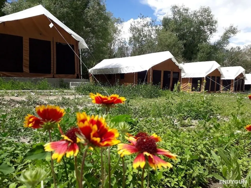 Mila Retreat Camp - Öne Çıkan Resim