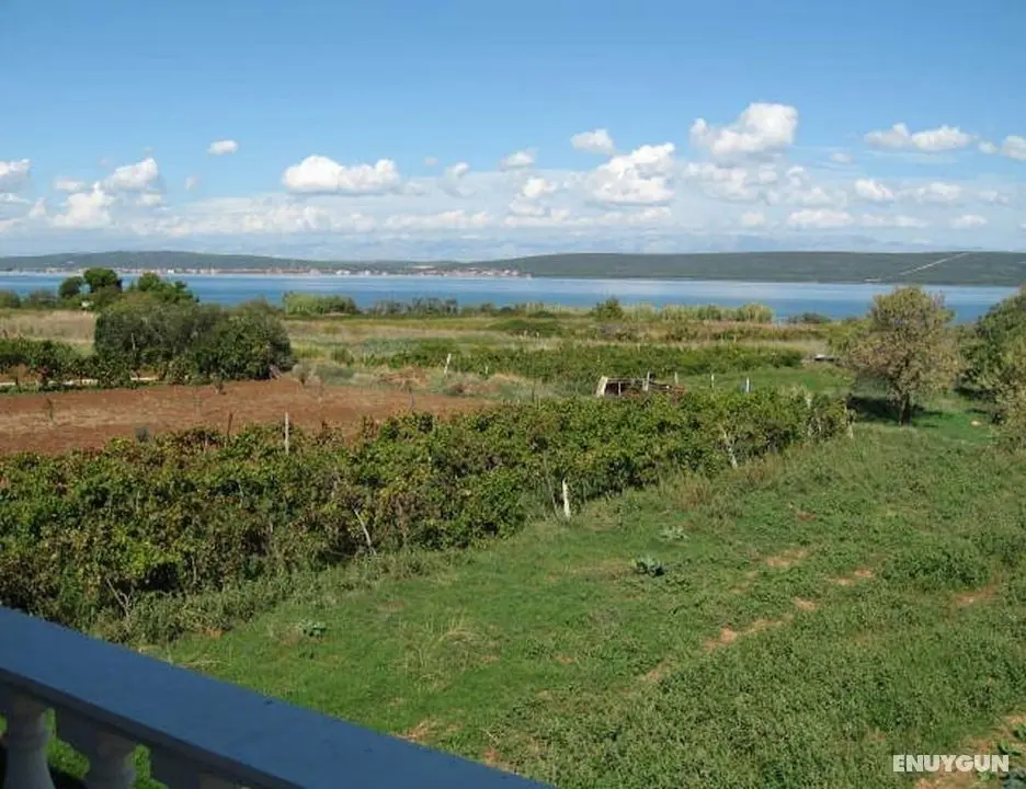 Miljenko - 100 m From the Beach - A1 - Oda Manzaraları