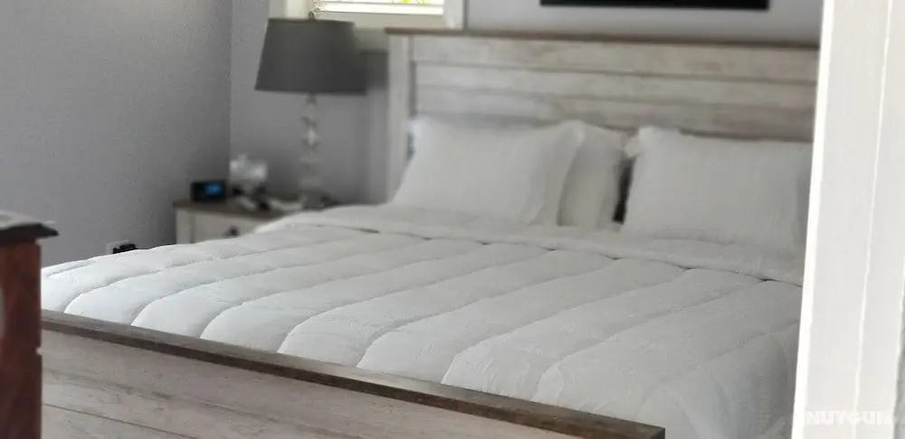 MillsborougH BnB - Öne Çıkan Resim