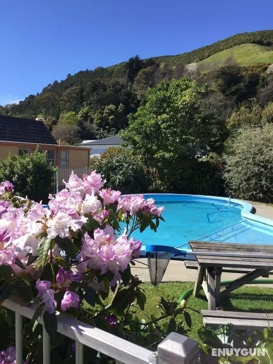 Milton Chalet Motel - Öne Çıkan Resim