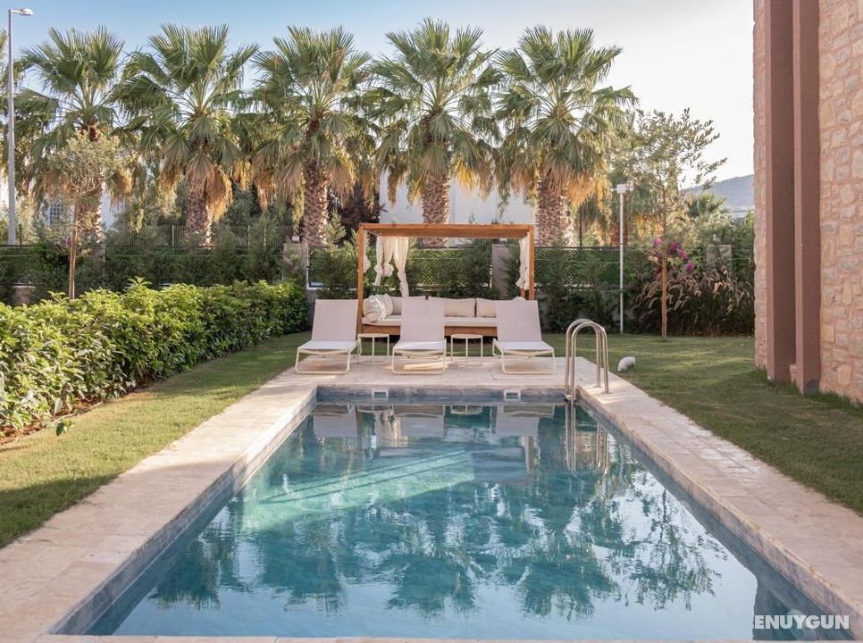 Mimosa Mansions