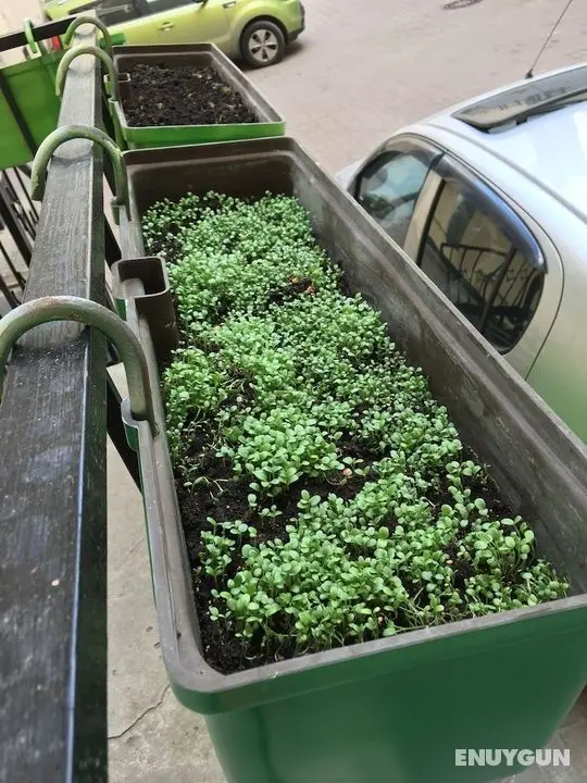 Mini-Hotel Clever - Öne Çıkan Resim