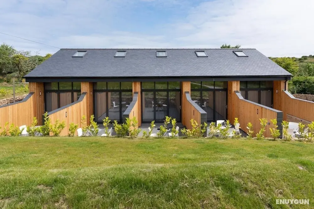 Mini Lodge in the Cornish Countryside - Mülk Olanakları