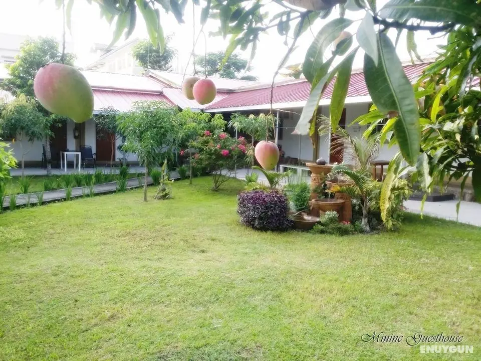 Minine Guesthouse - Öne Çıkan Resim