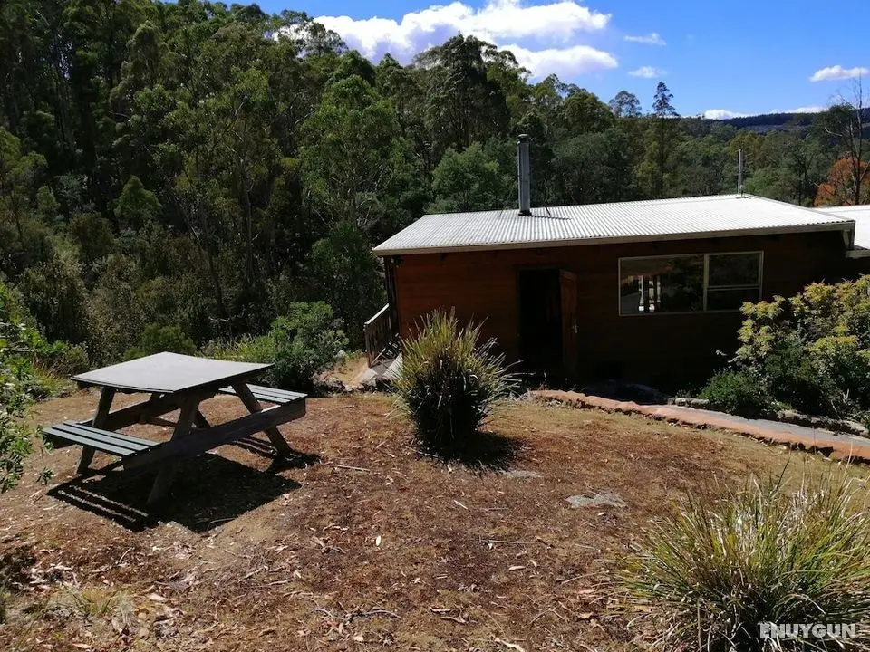 Minnow cabins - Öne Çıkan Resim