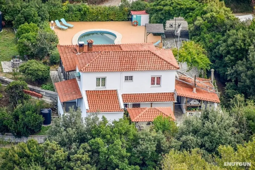 Villa Mitzelos - Öne Çıkan Resim