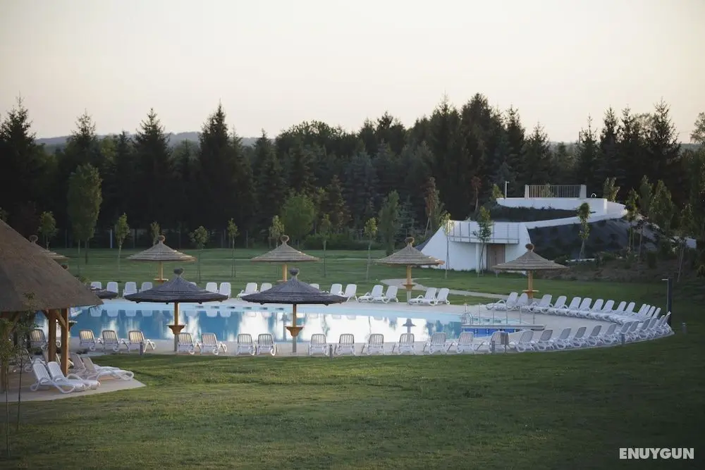 Mjus World Resort & Thermal Park - Havuz