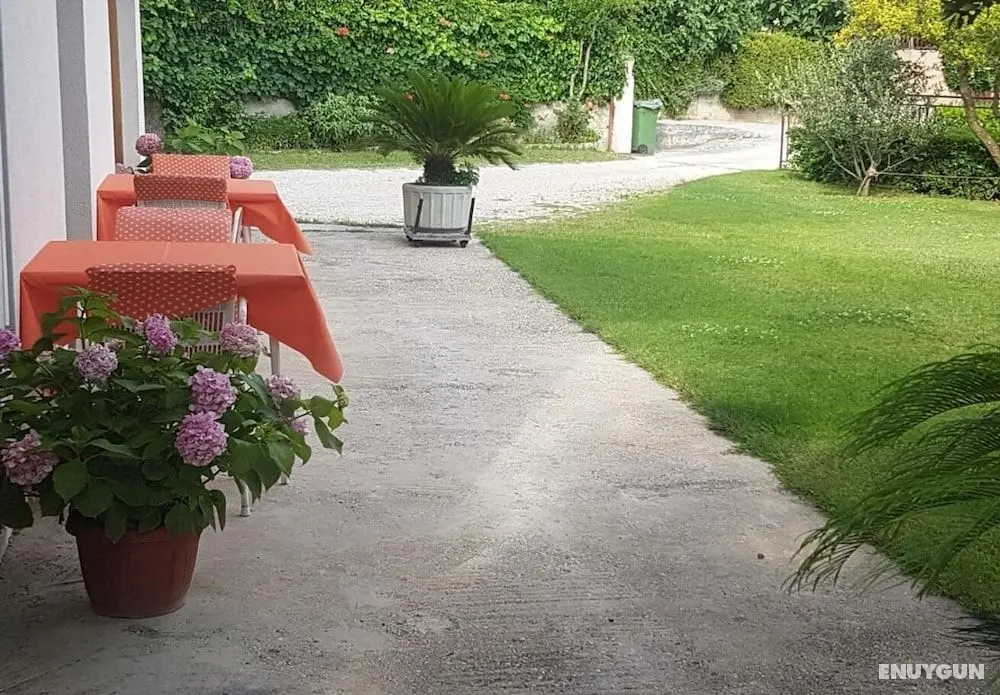 Mlad - 650 m From sea - A2 - Öne Çıkan Resim