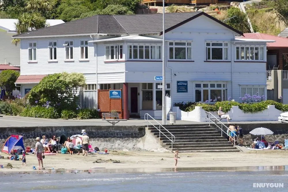 Moana Lodge - Hostel - Öne Çıkan Resim
