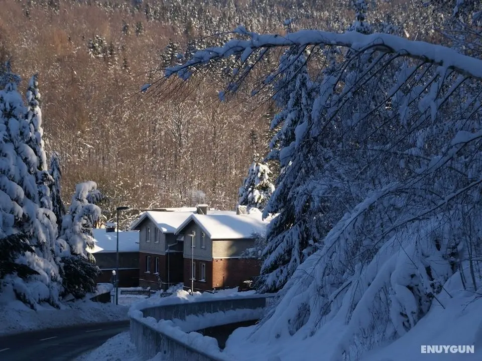 Modern Holiday Home in Rechenberg-bienenmühle Near Ski Area - Dış Mekan