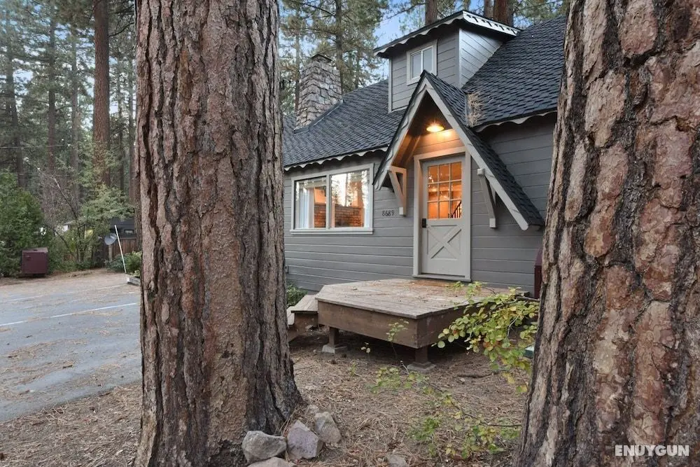 Modern Tahoe Treasure - Öne Çıkan Resim