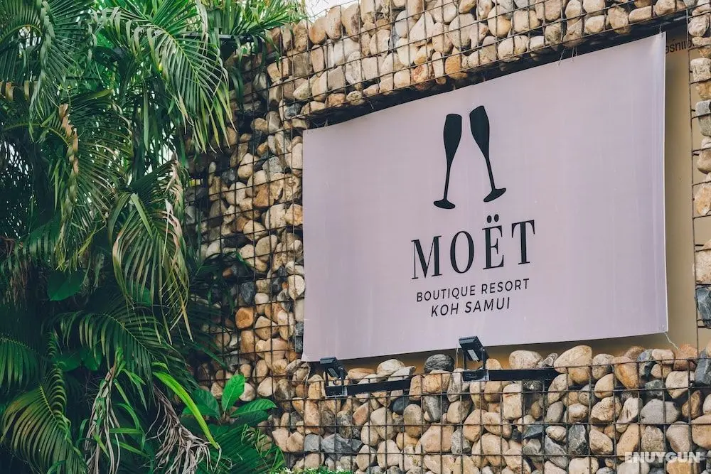 Moët Boutique Resort - Öne Çıkan Resim