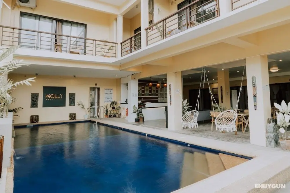 Molly Resort - Öne Çıkan Resim