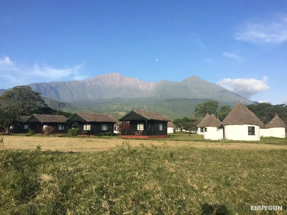 Momella Wildlife Lodge - Oda Manzaraları