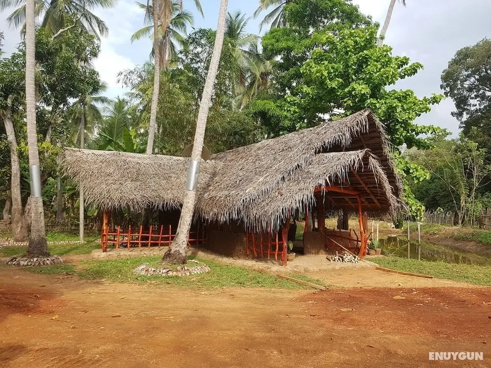 Monara Arana Eco Village and Farm Resort - Öne Çıkan Resim