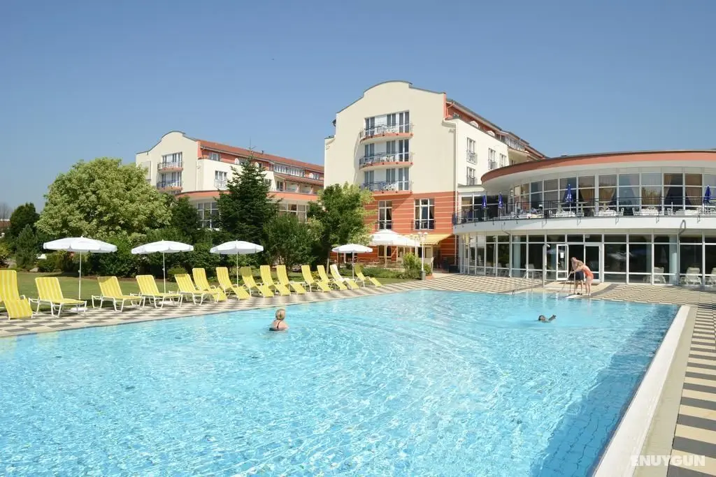 The Monarch Hotel Bad Gogging - Genel