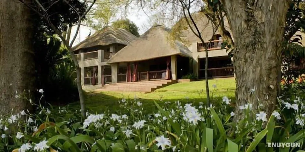 Monchique Guest House - Öne Çıkan Resim