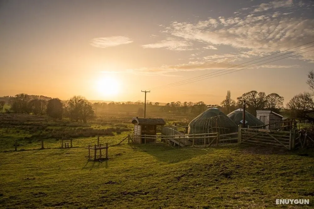 Mongolian Yurts Fordhall Organic Farm - Dış Mekan