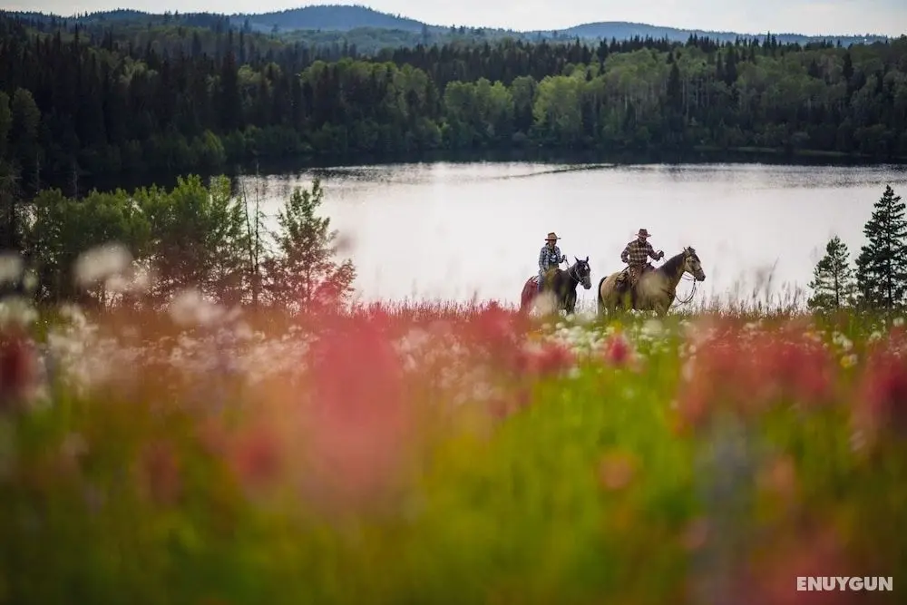 Montana Hill Guest Ranch - Dış Mekan