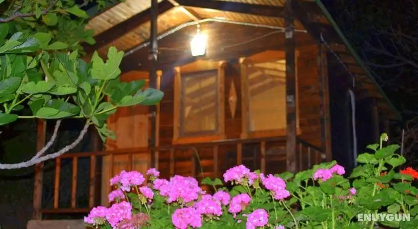 Montenegro Motel - Dış Mekan