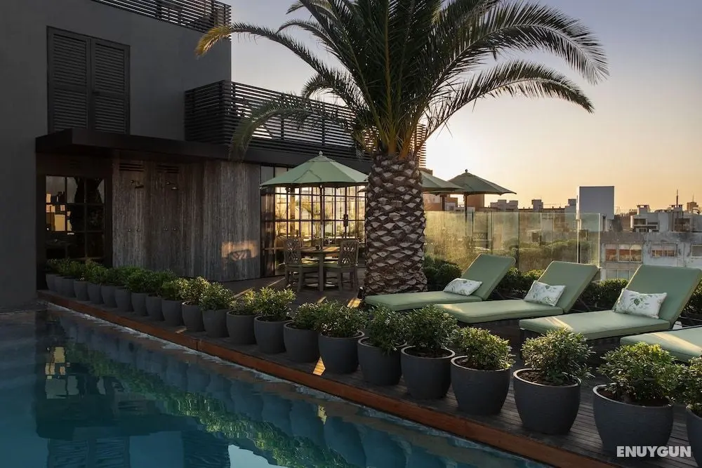 Hotel Montevideo - Leading Hotels of the World - Havuz
