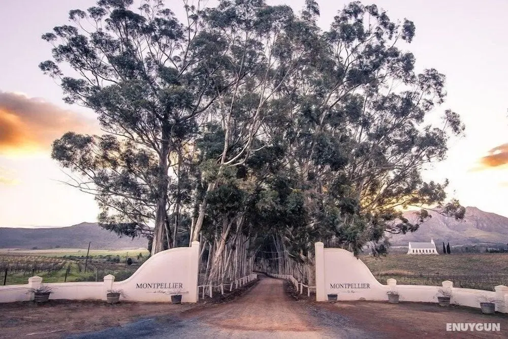 Montpellier De Tulbagh - Öne Çıkan Resim