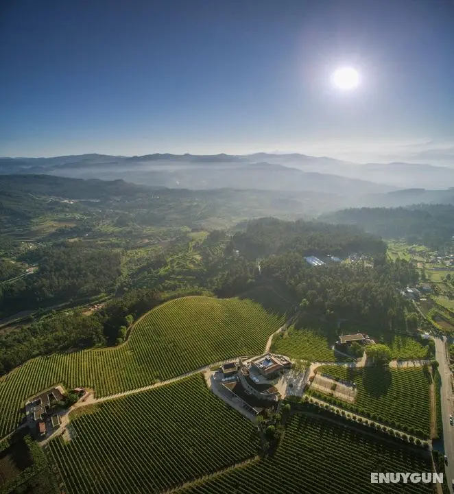 Monverde – Wine Experience Hotel - Genel