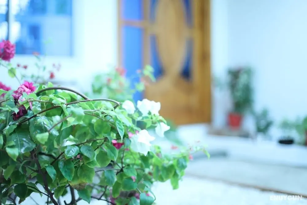 Moodhu Surf House - Öne Çıkan Resim