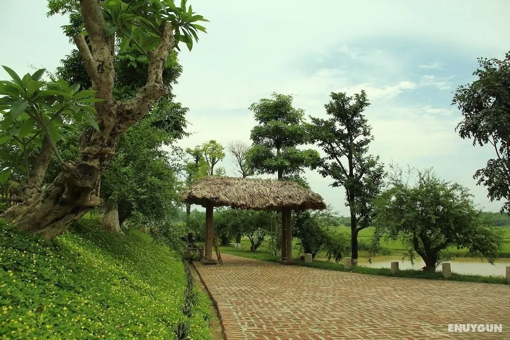 Moon Garden Homestay - Öne Çıkan Resim