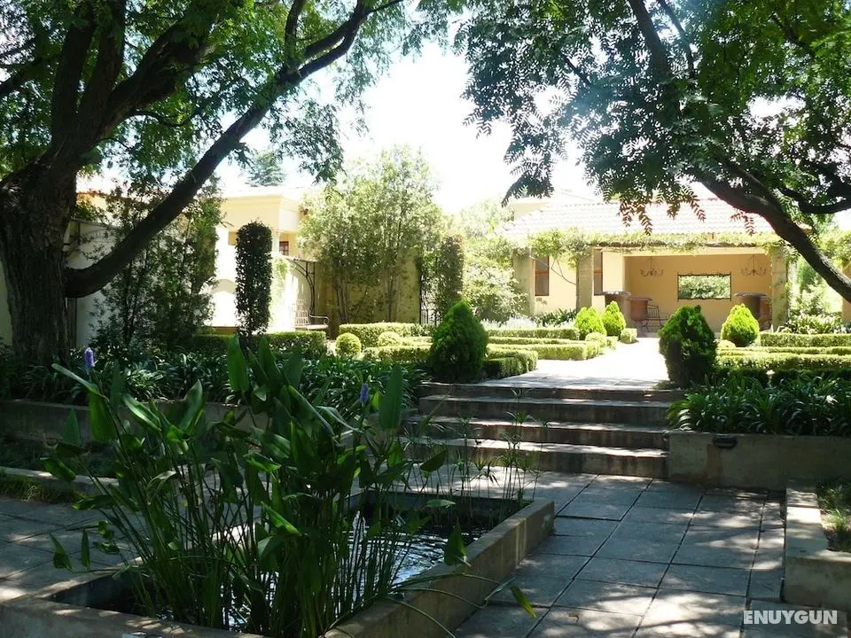 The Moon and Sixpence Garden Guest House - Öne Çıkan Resim