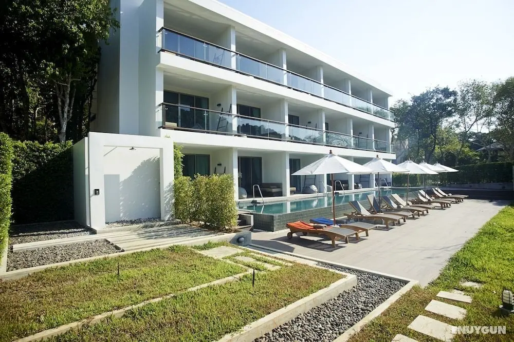 Moonlight Bed & Brunch - Oda