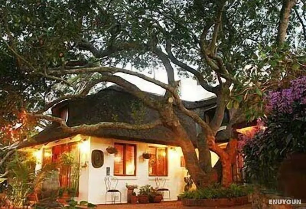 Moontide Guest Lodge - Öne Çıkan Resim