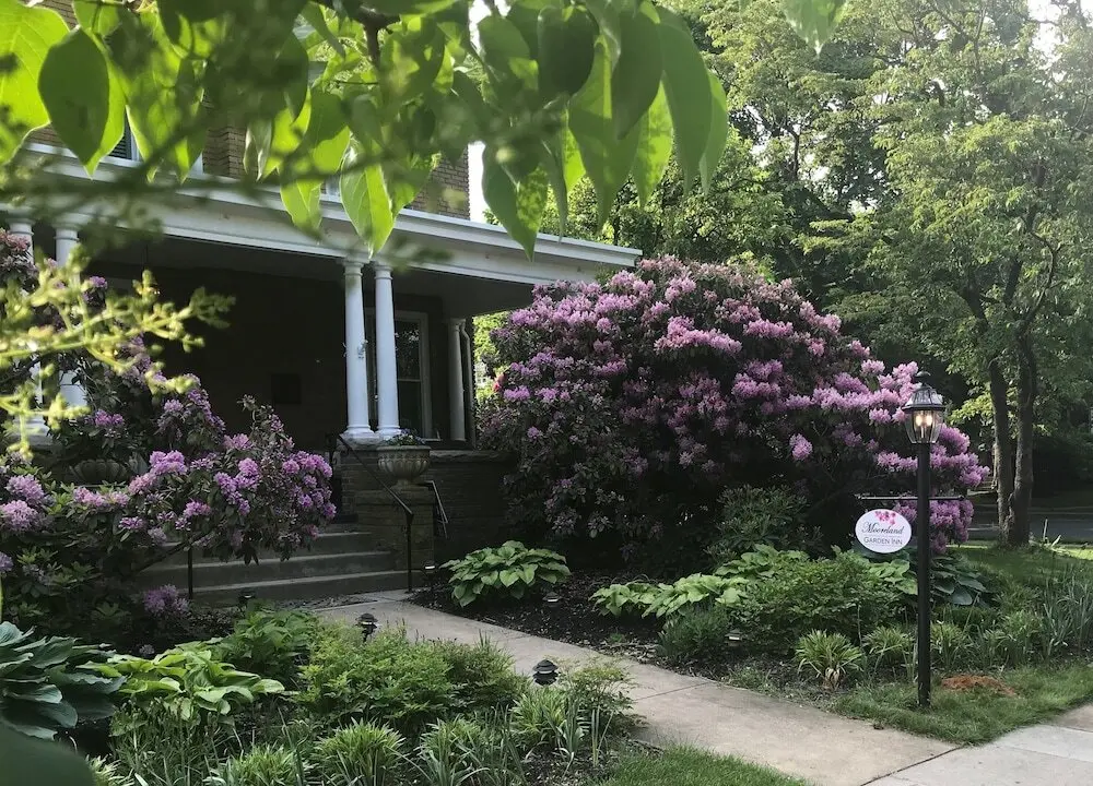 Mooreland Garden Inn - Öne Çıkan Resim