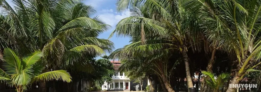 Moragalla Beach Home Guesthouse (Newly opened hotel) - Öne Çıkan Resim