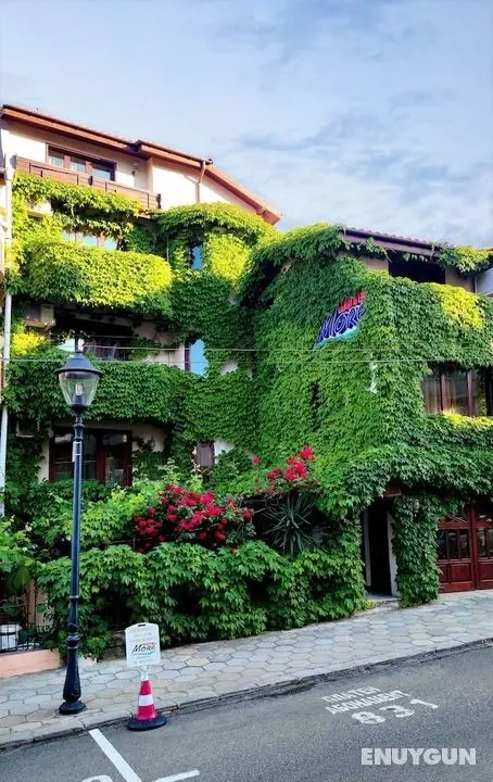 Hotel More - Öne Çıkan Resim