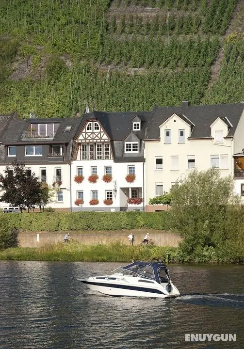 Mosel Panorama - Öne Çıkan Resim