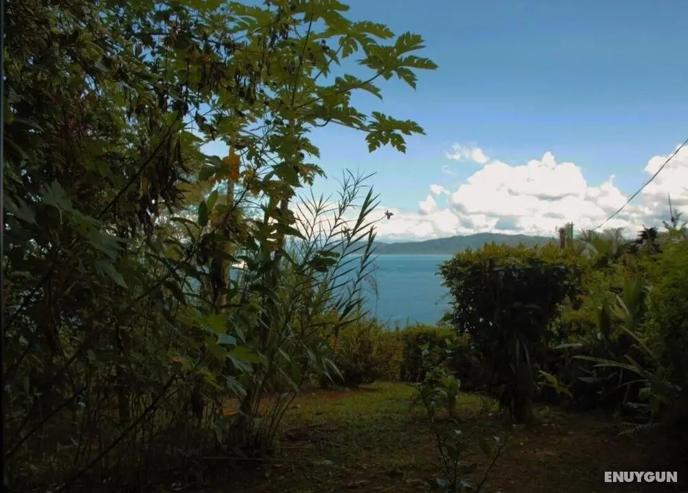 Motmot, Double Large Room With air Conditioning and sea View - Dış Mekanlar
