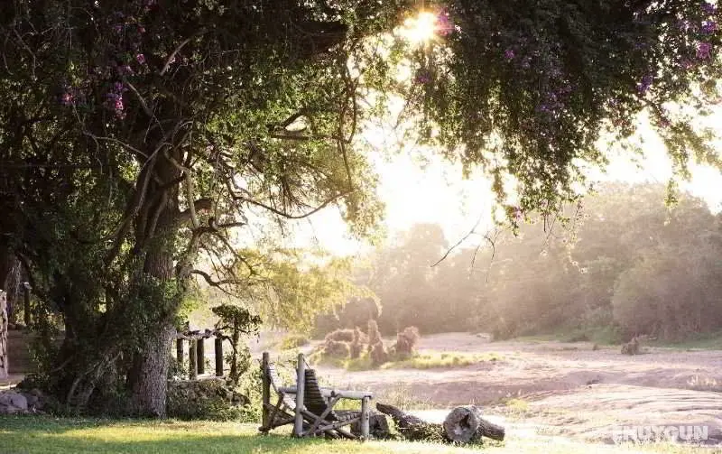 Motswari Private Game Reserve - Timbavati - Genel