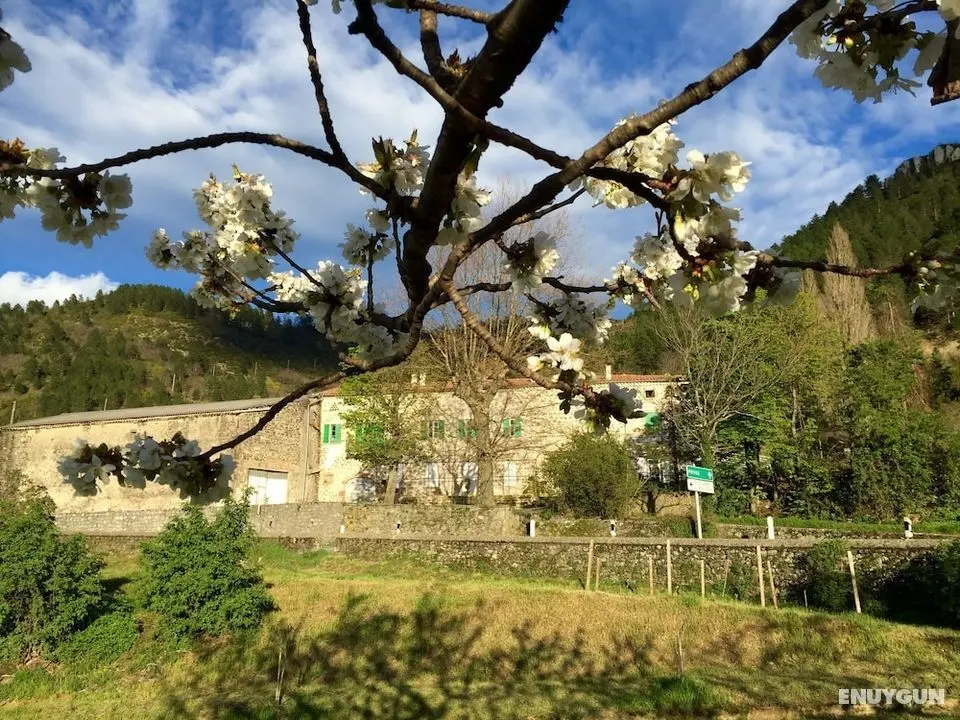 Moulin A - Öne Çıkan Resim