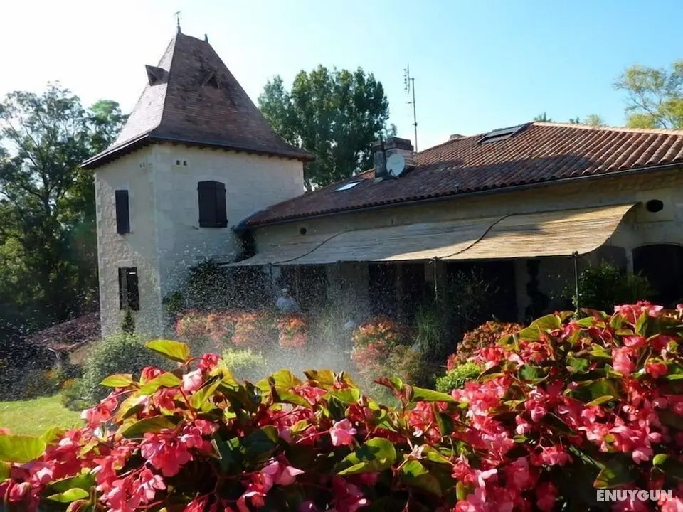 Moulin Rouhaud - Öne Çıkan Resim