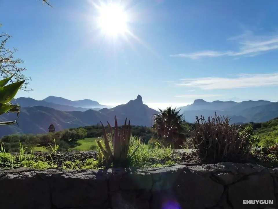 Mountain Hostel Finca la Isa - Dış Mekan