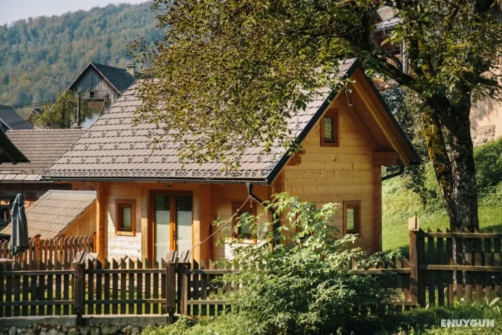 Mountain Lodge Jereka - Öne Çıkan Resim