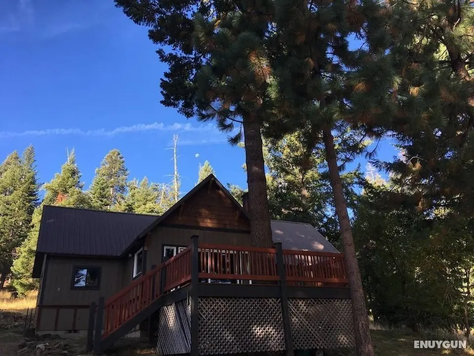 Mountain Pine Cabin - Sleeps 6 - Pet Friendly - Dış Mekan